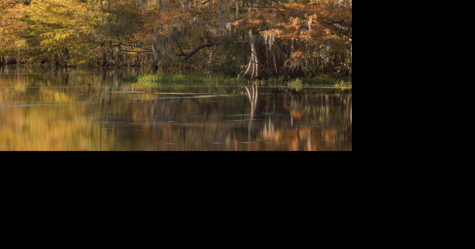 Conservation groups still have eyes on Georgetown County for future ...