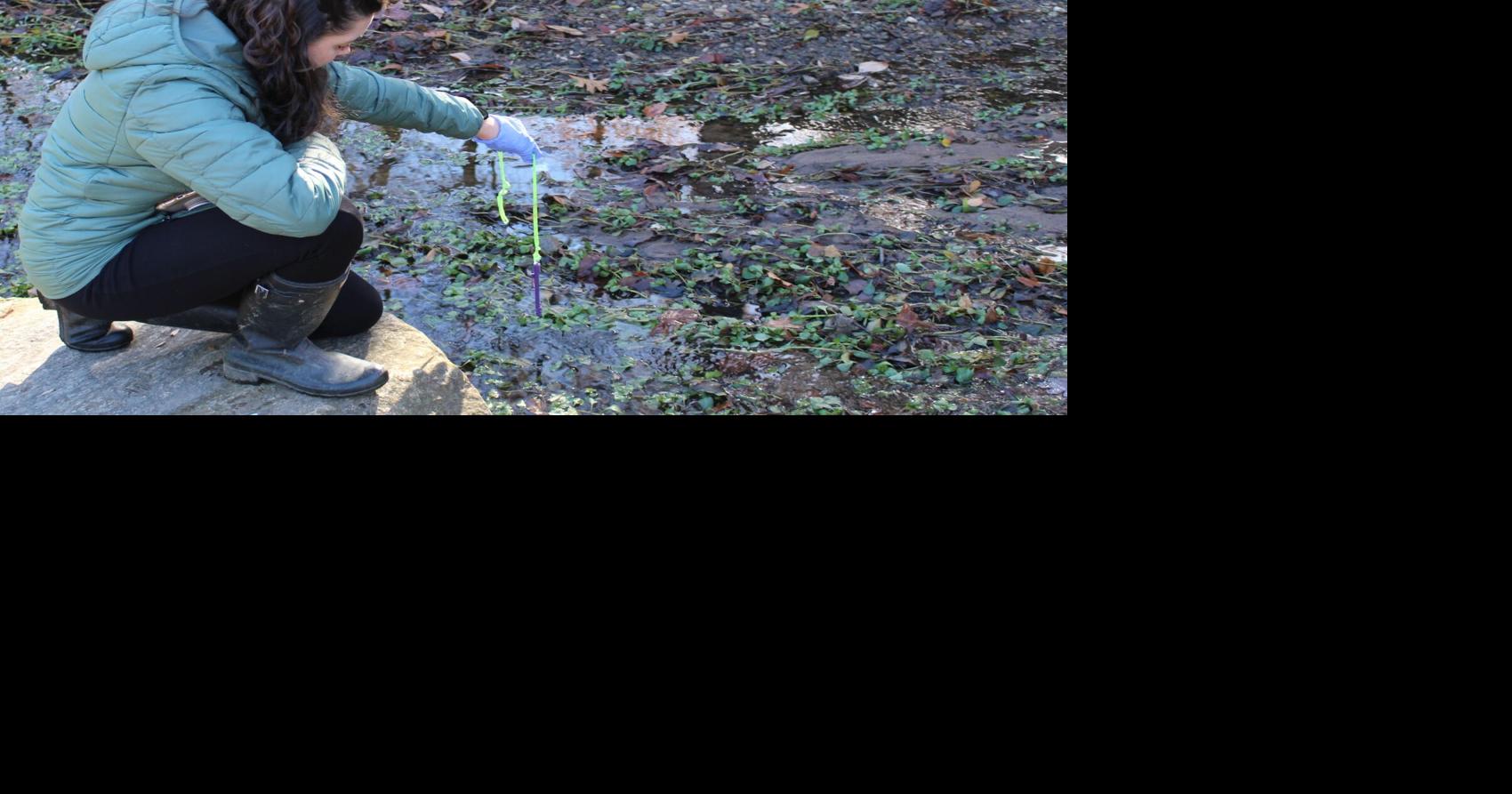 Dissolved oxygen levels back to normal in Falls Park stream