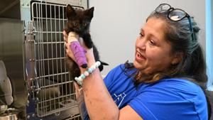 ‘The need was so significant’: Florence animal rescue opens $2.5M space for cats