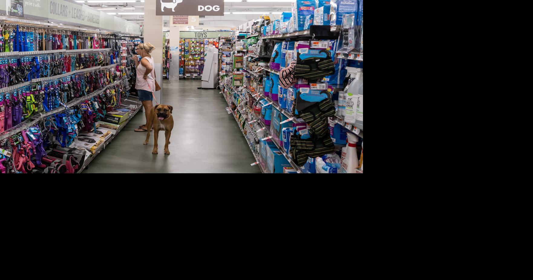 Pet store to open in Greenville area near an under-construction Publix