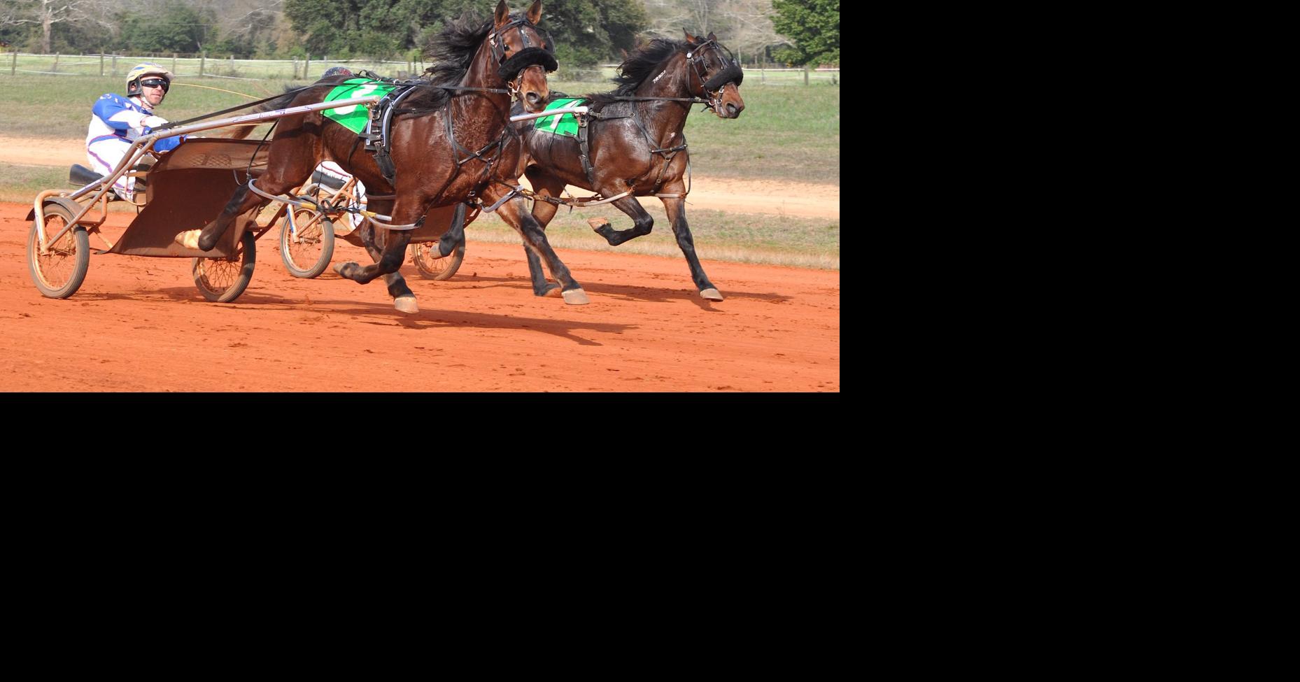 Bruce McGhee Memorial Harness Races