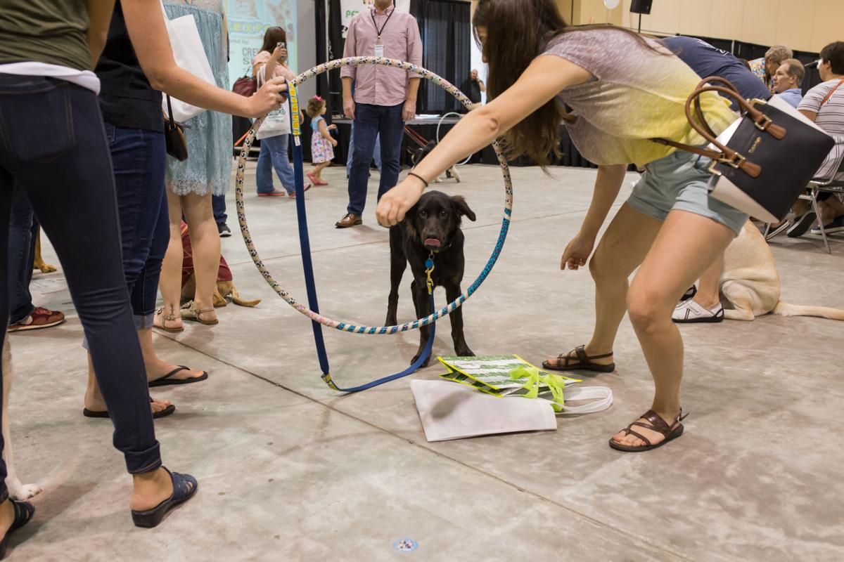 Pet Expo-October 14, 2017-287