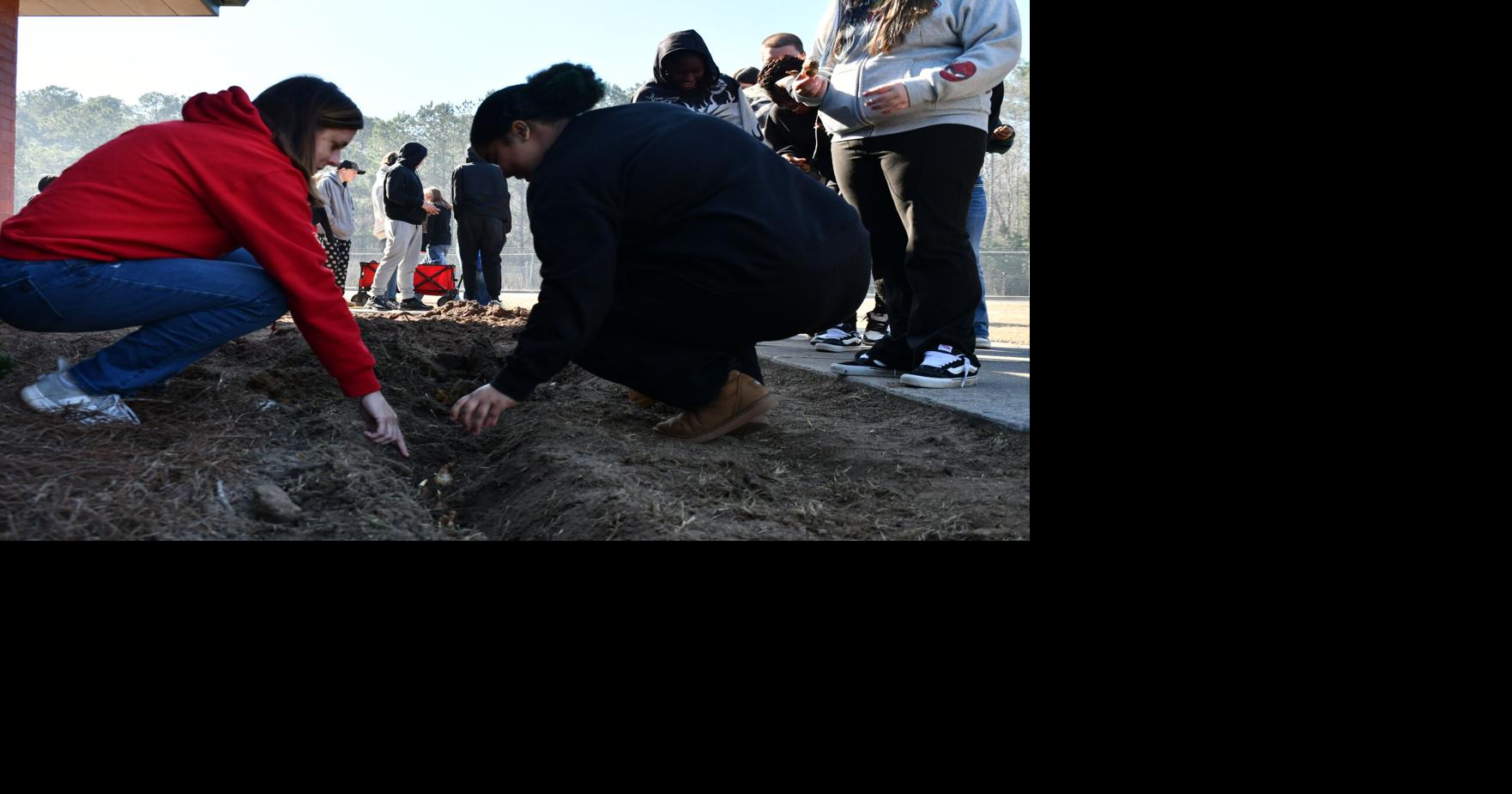 Sangaree Middle students join global Worldwide Daffodil Project