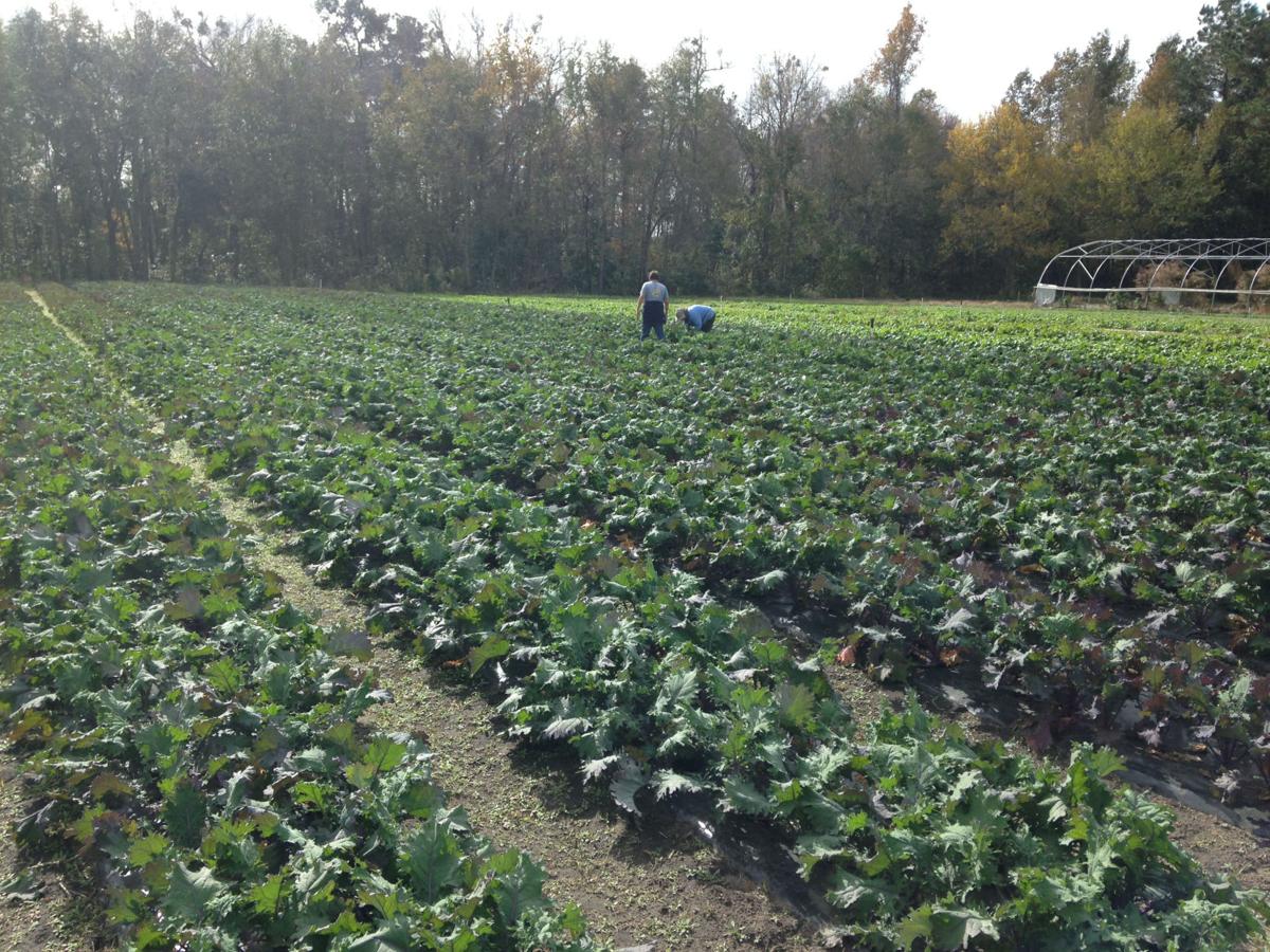 Wabi Sabi Farms Artist Jimmy Livingston Finds Beauty In Imperfection Charleston Scene Postandcourier Com
