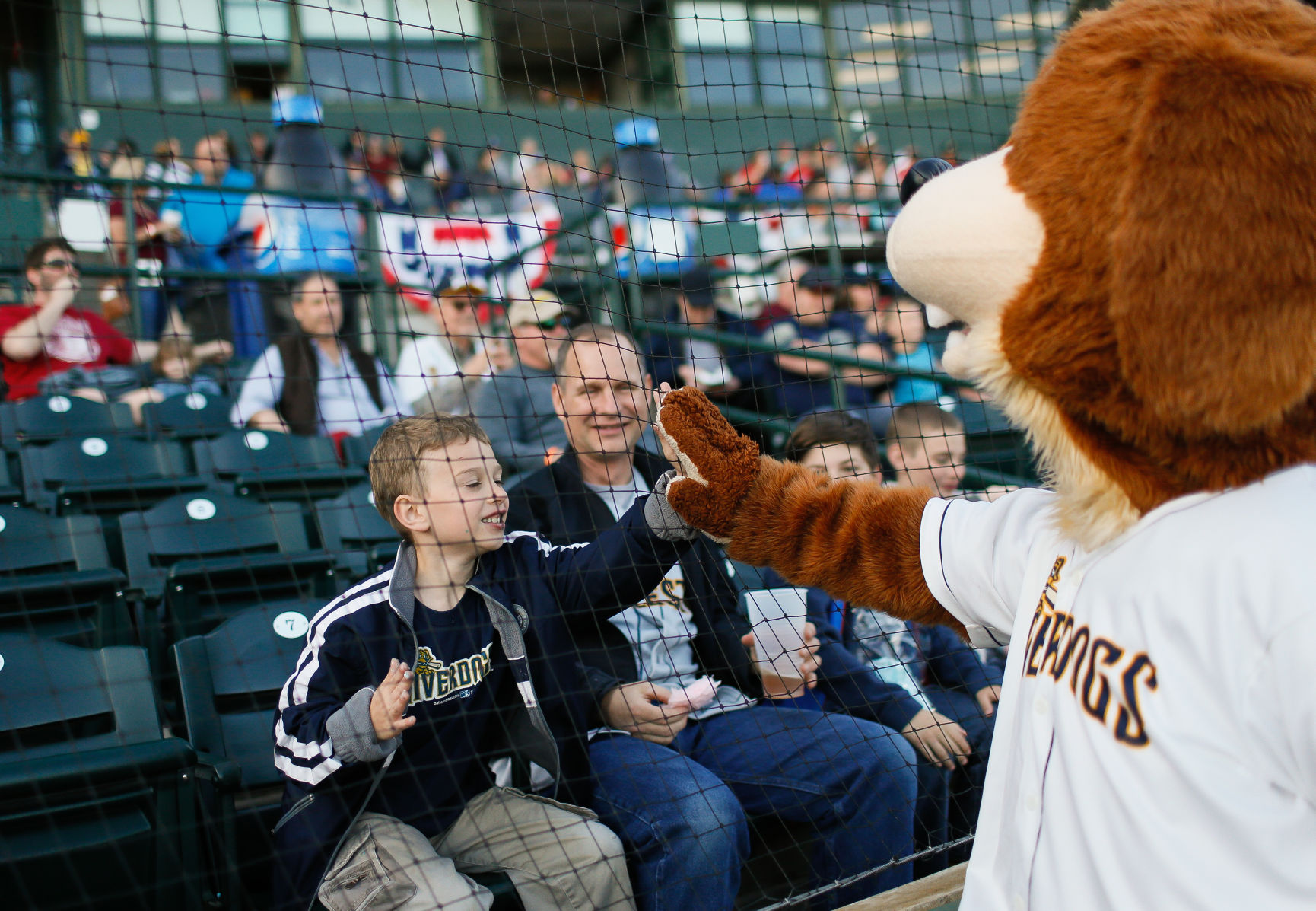 Minor League Baseball, Charleston RiverDogs outperform big leagues