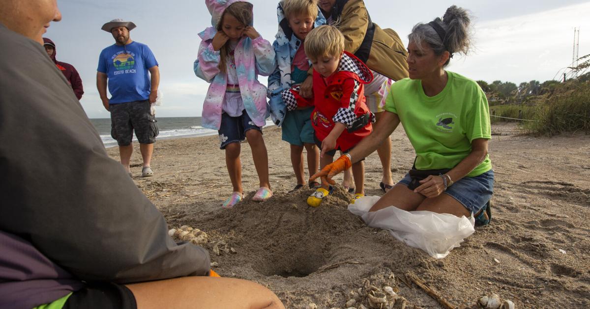 Mein Charleston-Wochenende: Schildkröten, Teddybären und Tannine.