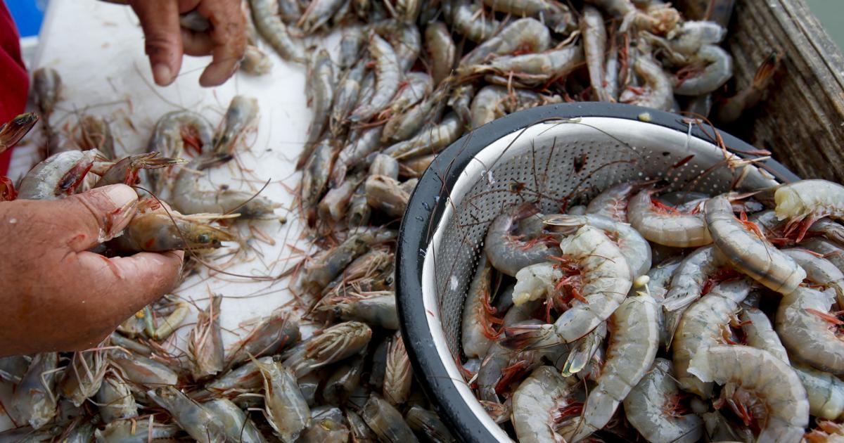 Some Southern states have seafood labeling laws. South Carolina isn’t one of them.