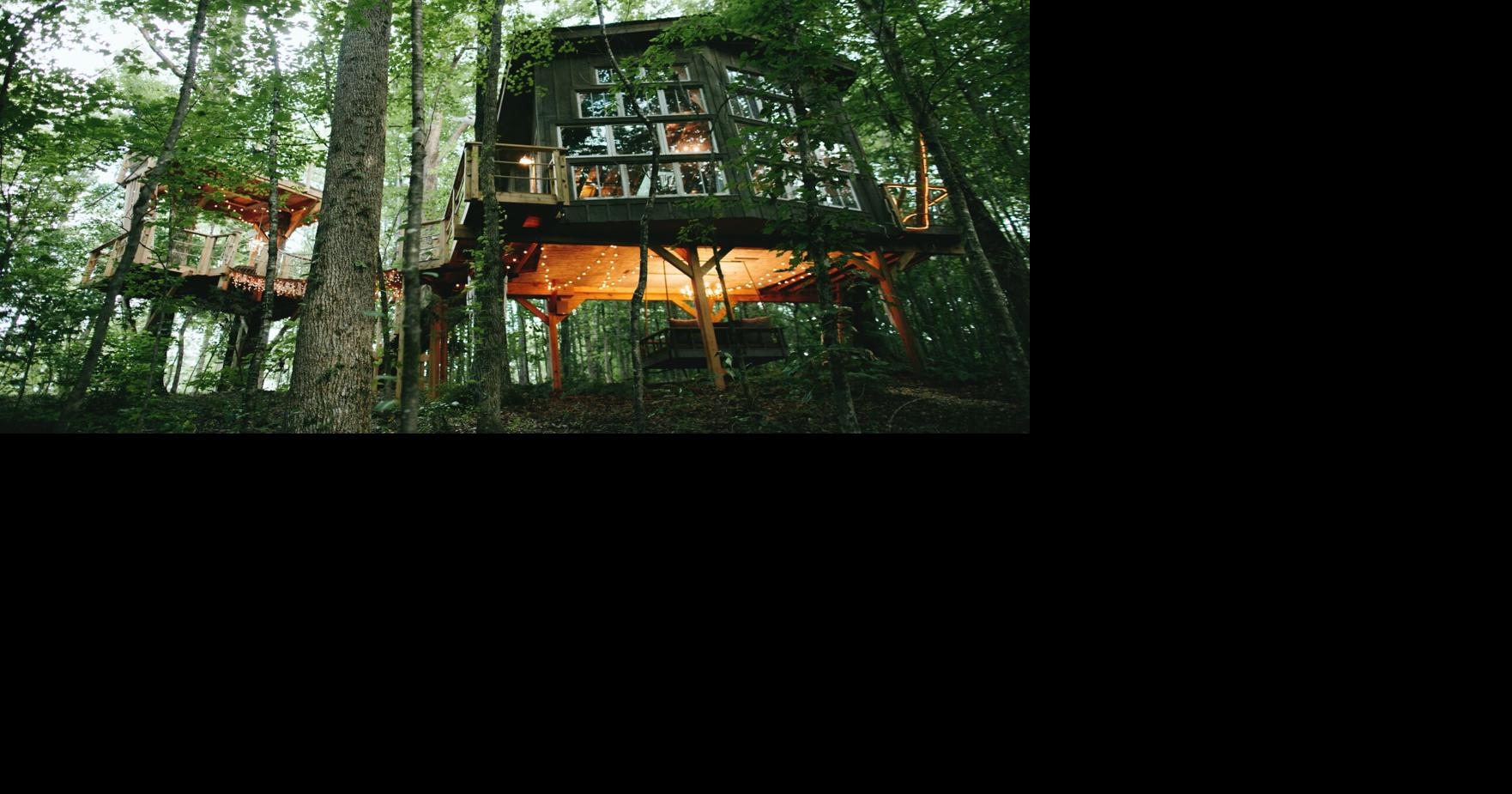 Unique SC vacation rentals include treehouse, geodome Features