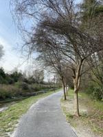 Walking Tour pic