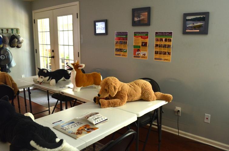 Red Dog Pet Services to offer pet first aid classes in Aiken throughout
