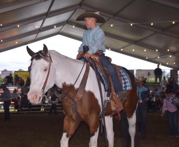 Best of the West horse auction draws national bidders News