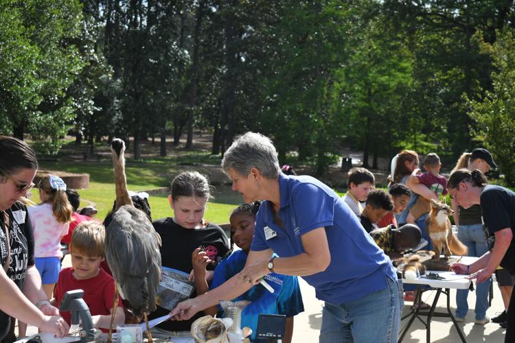 Science Center program makes Hoplands Gardens a classroom