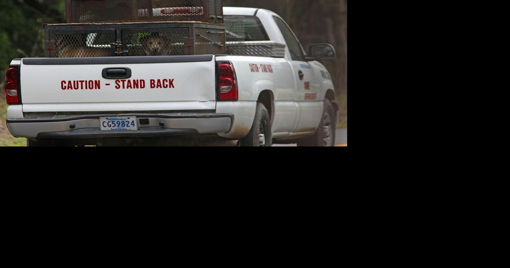 Threeday old Ohio baby killed by dog while sitting in a swingMedical