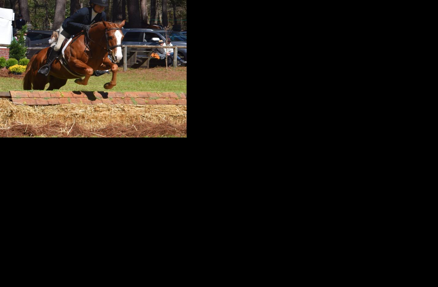 Aiken Horse Show opens in beautiful forest setting that spectators