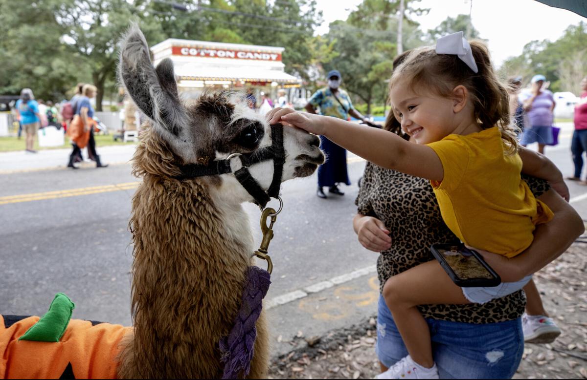 llama llama.jpg