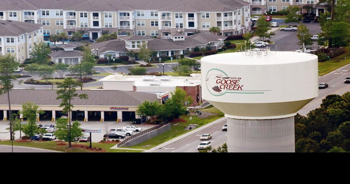 Goose Creek Business License
