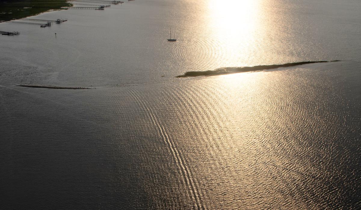 A Charleston sand bar once home to 4,000 birds is gone, but $1.5M could bring it back
