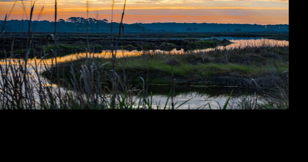 Reader photo pick of the week: Marshland