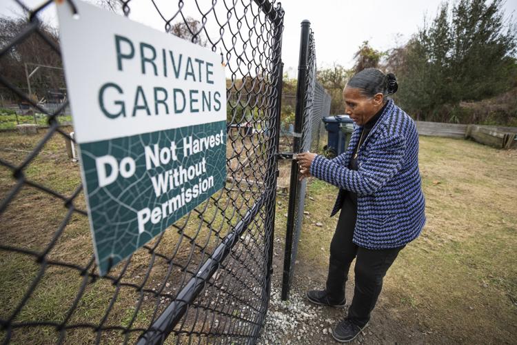 Seabrook Island renter told she can no longer use community garden