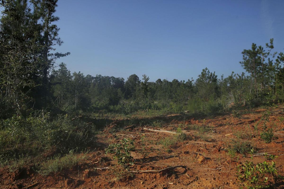 Five S.C. Children Found Dead
