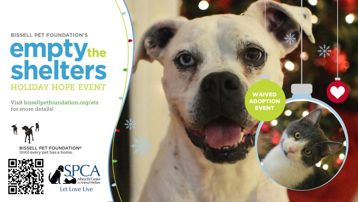 ANIMAL CONNECTION: Bissell Pet Foundation brings holiday hope to shelter pets across the country | Features ANIMAL CONNECTION: Bissell Pet Foundation brings holiday hope to shelter pets across the country | Features