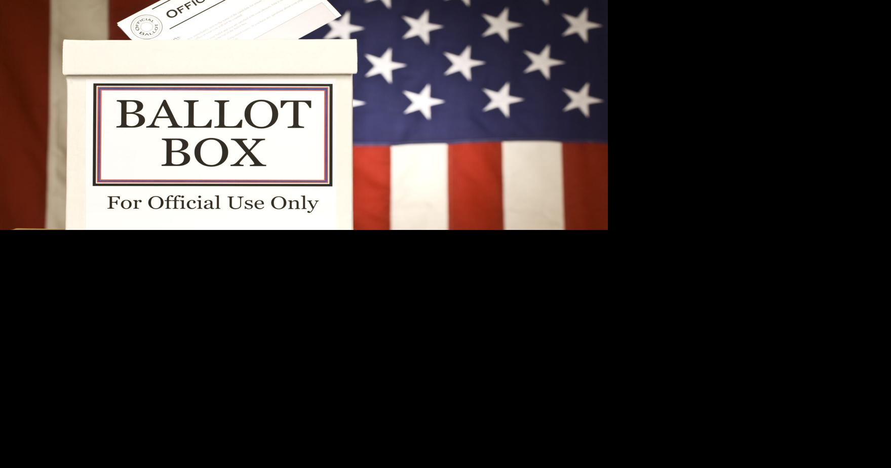 Incumbents face primary challenges in these Georgetown County races