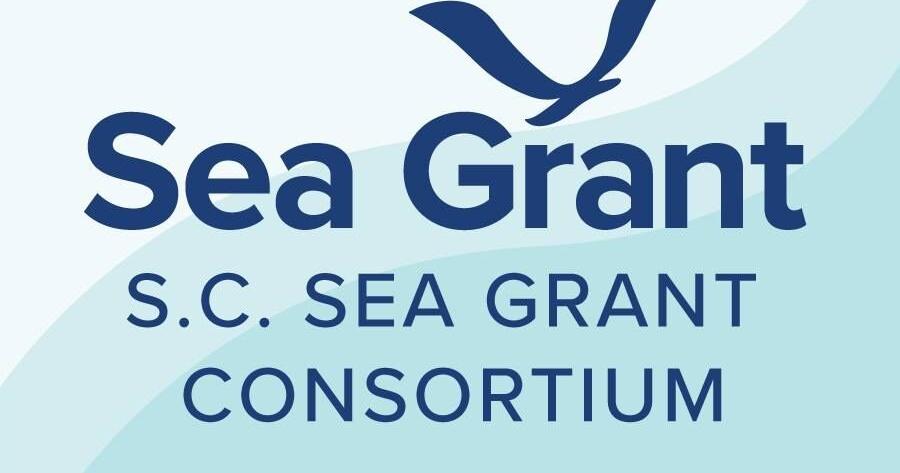 Contaminants research underway - Vimarsana News