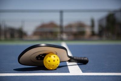 Anderson Co asks state for $600K for pickleball courts Greenville