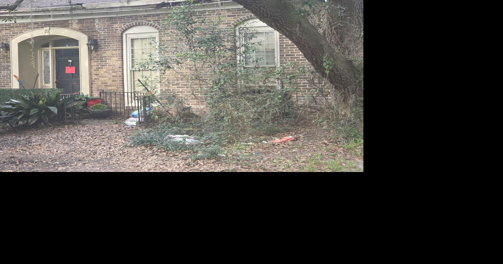 ‘Shocks the moral conscience': More than 125 dogs found dead in SC coastal community