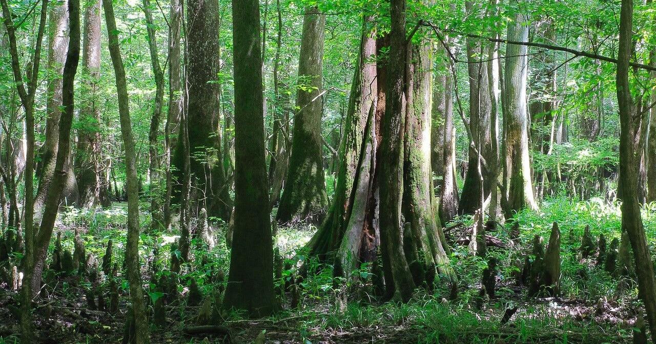 Outdoor Men Of Letters - Vimarsana News