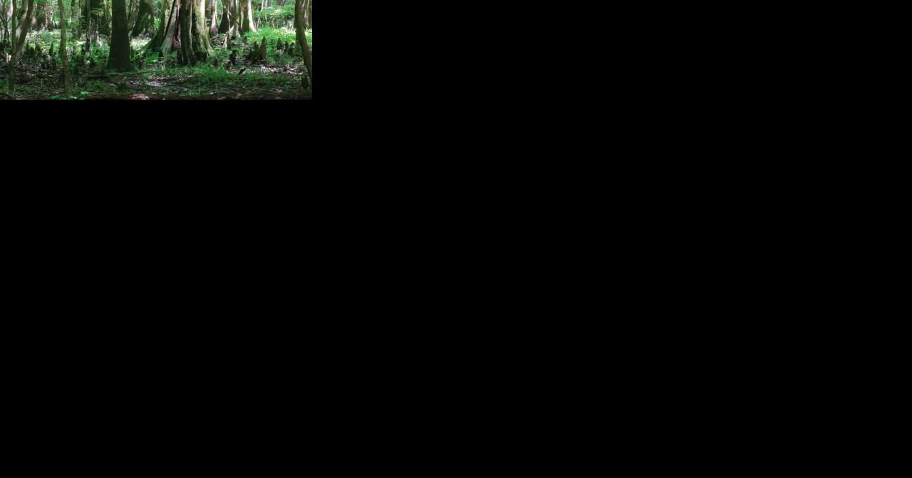 Outdoor Men Of Letters - Vimarsana News