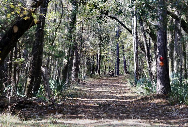 A look inside one of Charleston County's newest parks News