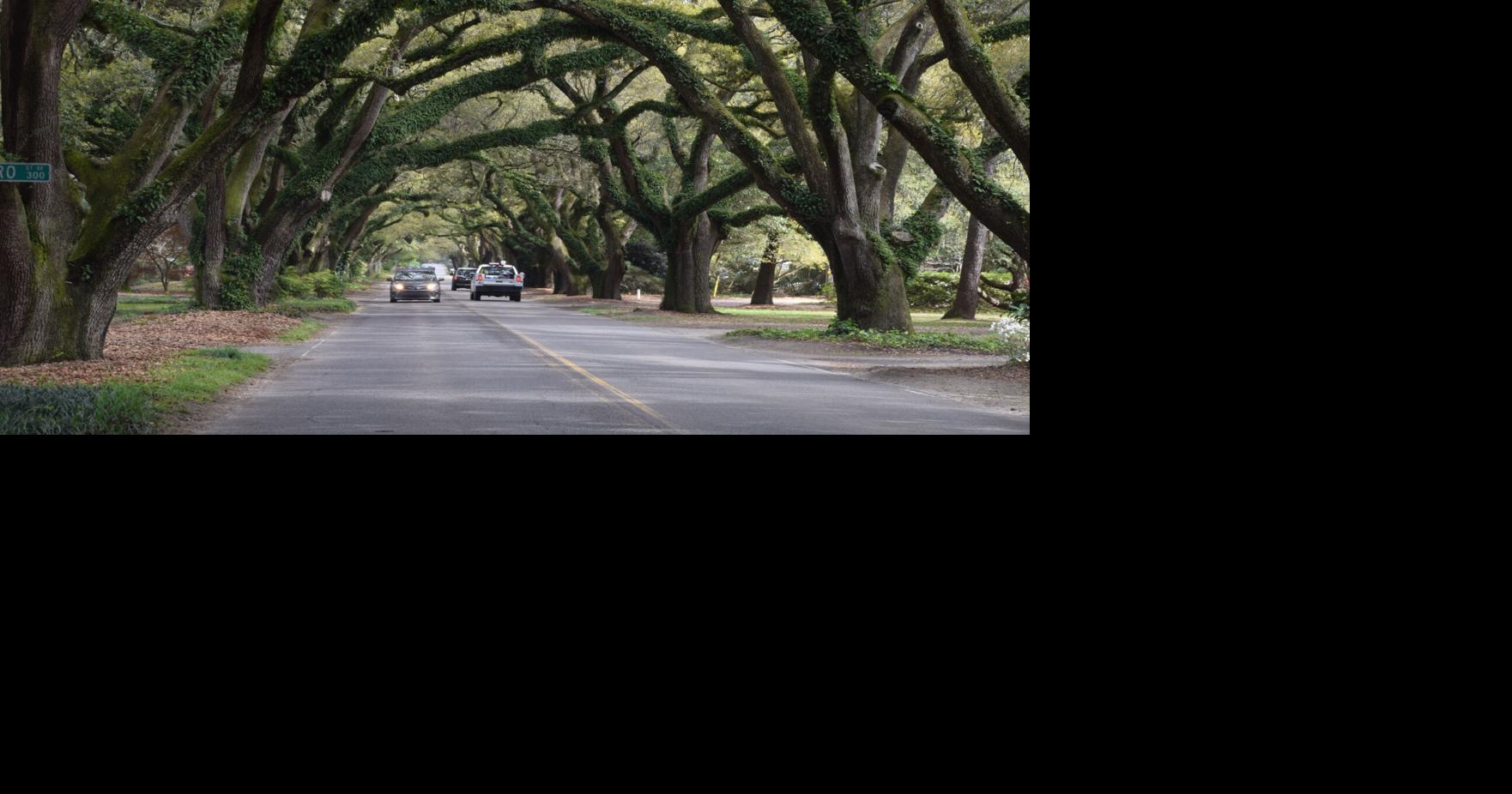 ARTS AND HUMANITIES: Another book with an Aiken connection