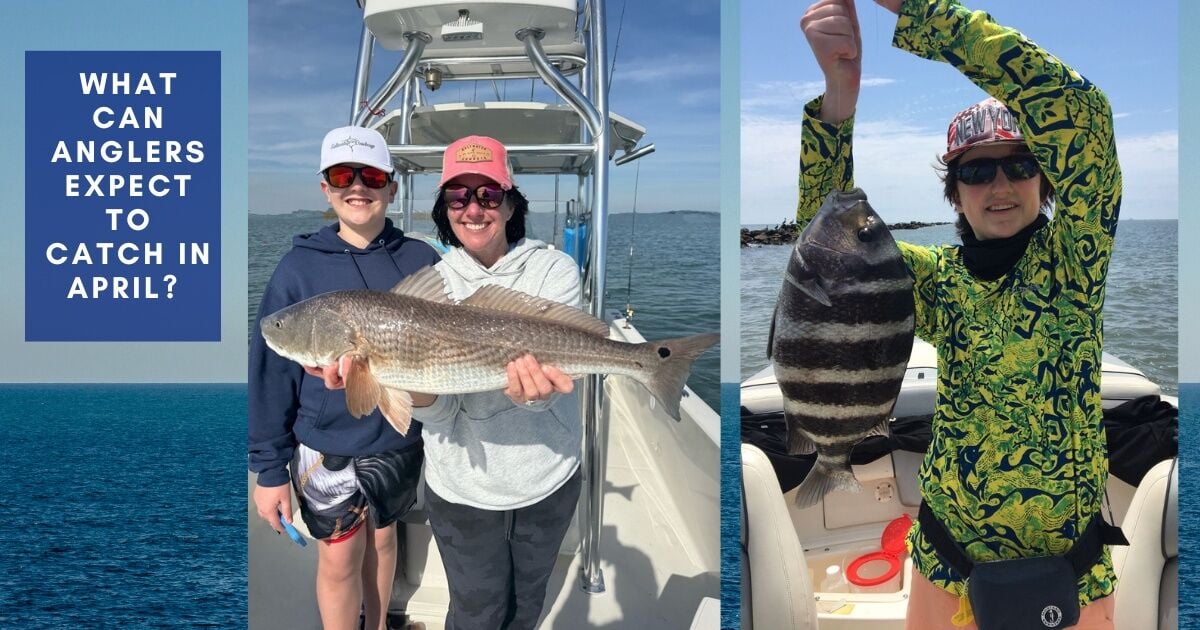 Fishing report in April for Charleston