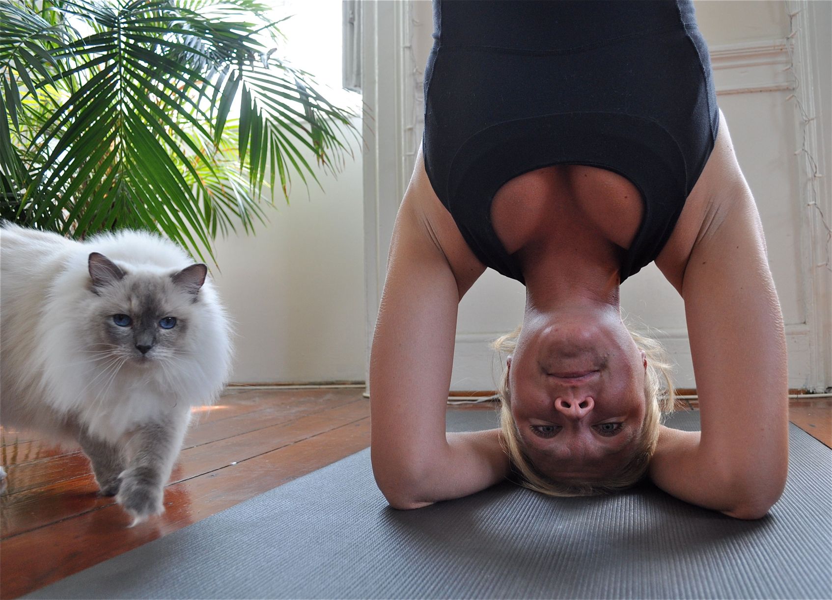 Inversions 101: How to go Upside Down with Grace – Chopra