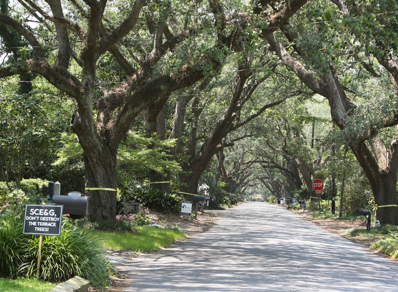 homes for sale riverland terrace charleston sc