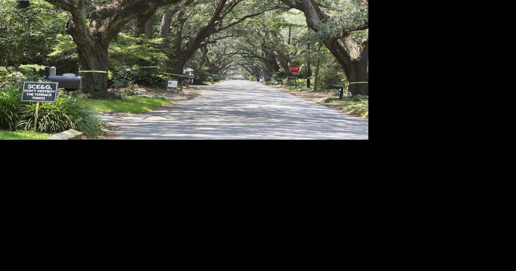 Save Riverland Terrace trees Editorials