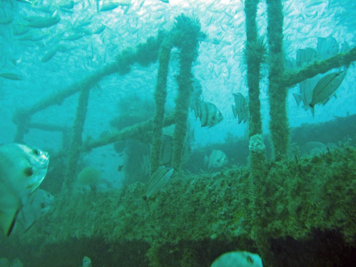 South Carolina S Artificial Reef Program Has Come A Long Way In 40 Years Fishing Postandcourier Com