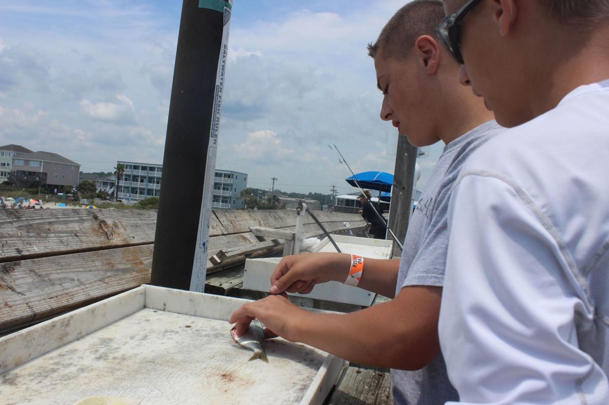 Pier owner vigilant in shark fishing policy, image size:1200x798