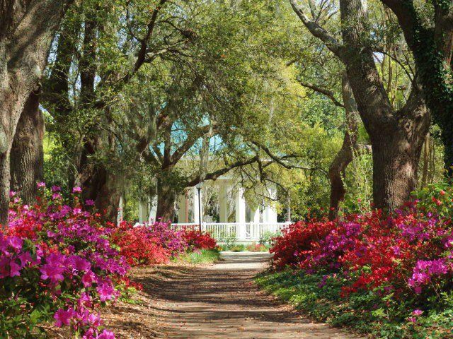 Lowcountry Parks