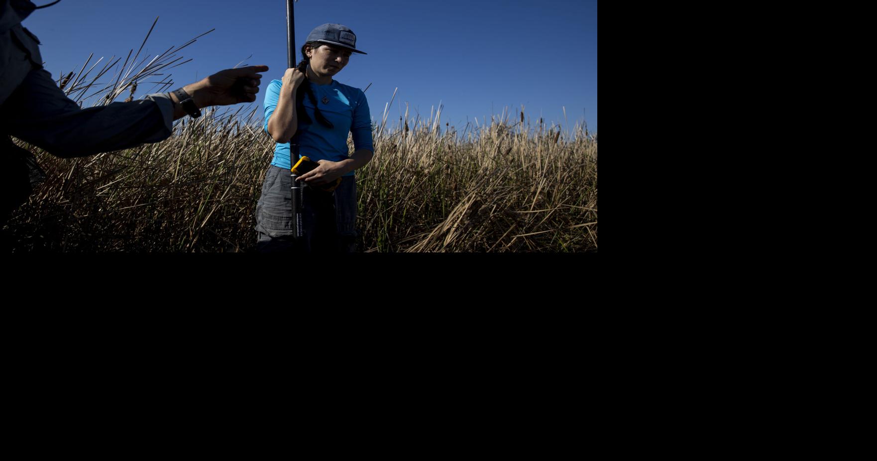 'This is history in soil': At Georgetown's Hobcaw Barony, past and future of SC is coated in mud