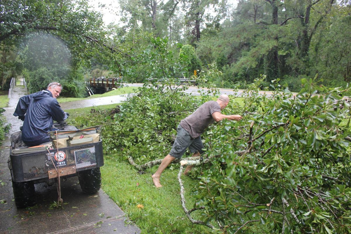 Dorian damages downs trees, powerlines throughout area