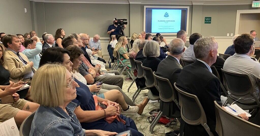 Plans for James Island subdivision approved despite flood of public opposition
