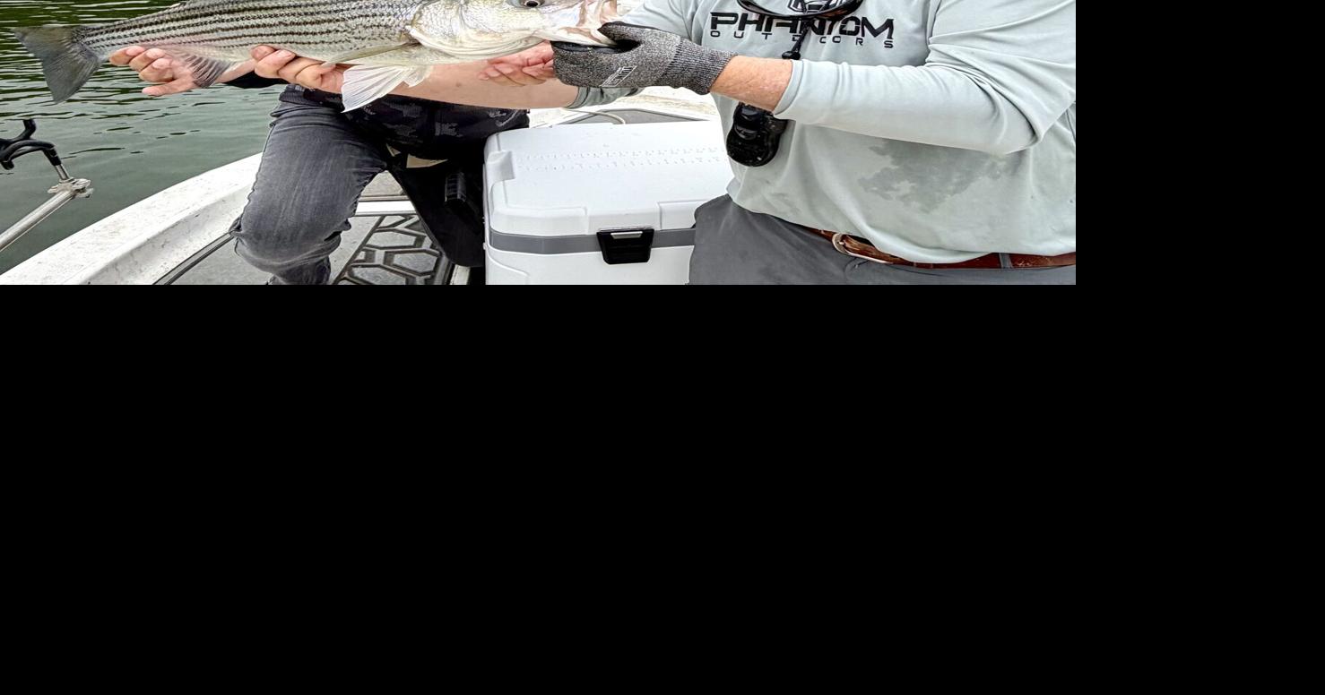 Striper season opens Oct. 1 on Santee Cooper lakes