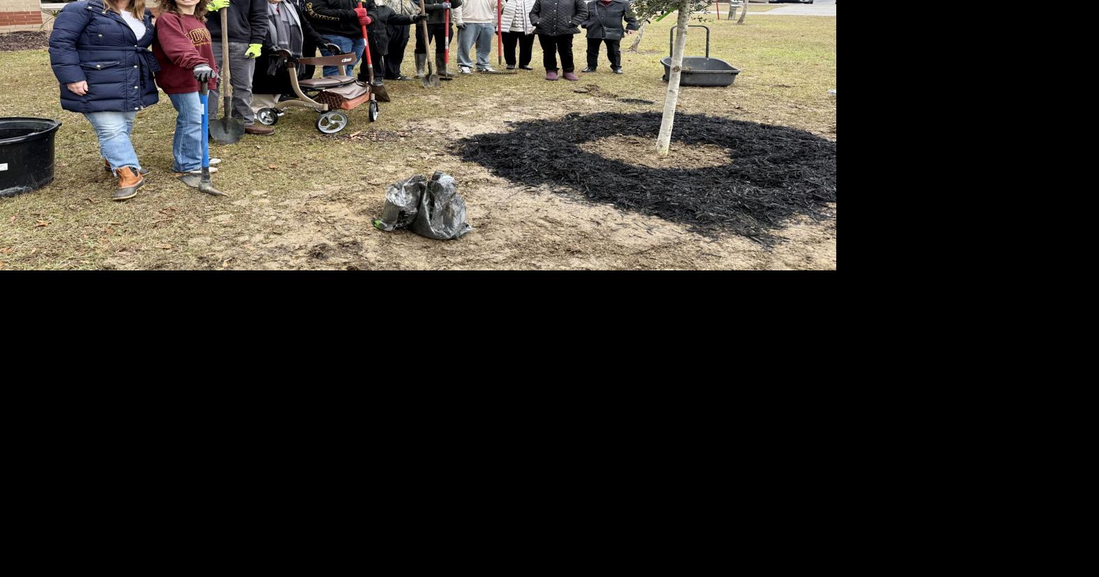 A tree grows at Wando