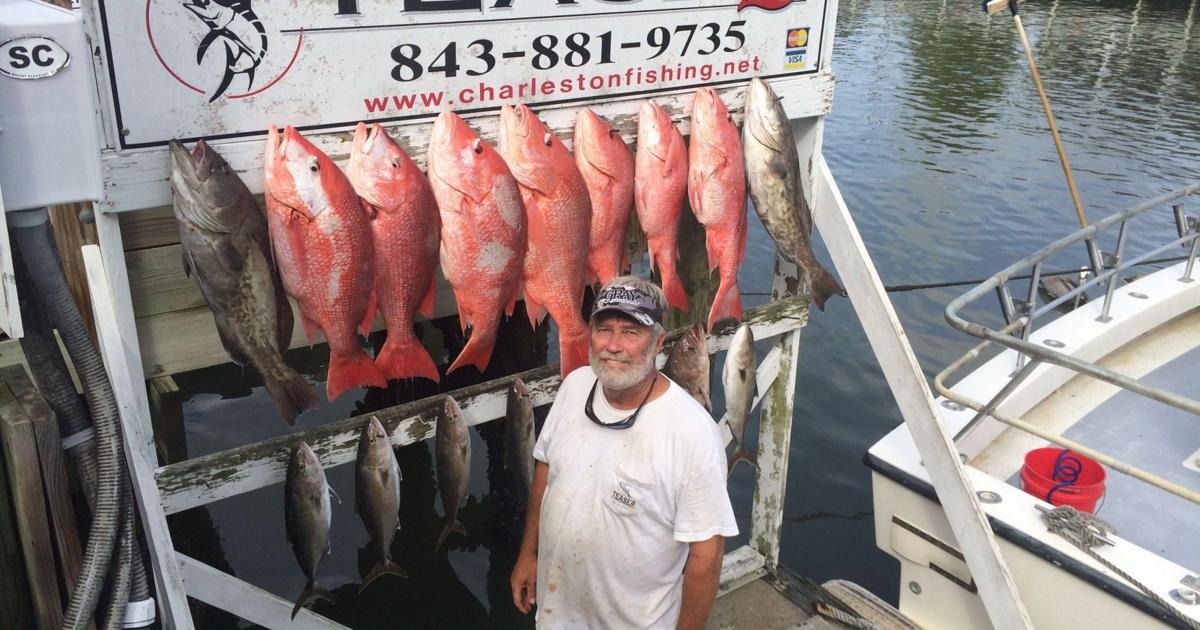 Mini Reds Snapper Red snapper mini-season yielding good catches