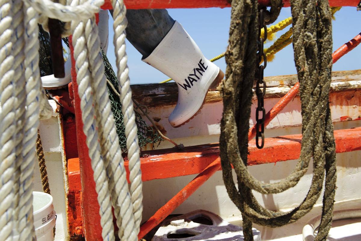 Shrimping on the Winds of Fortune