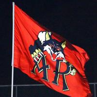 Ashley Ridge baseball players disciplined after 'name-calling' incident