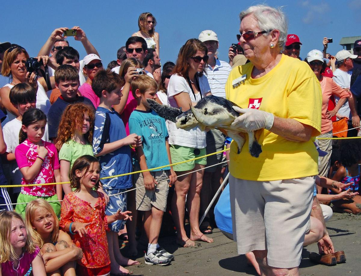 Turtle Release
