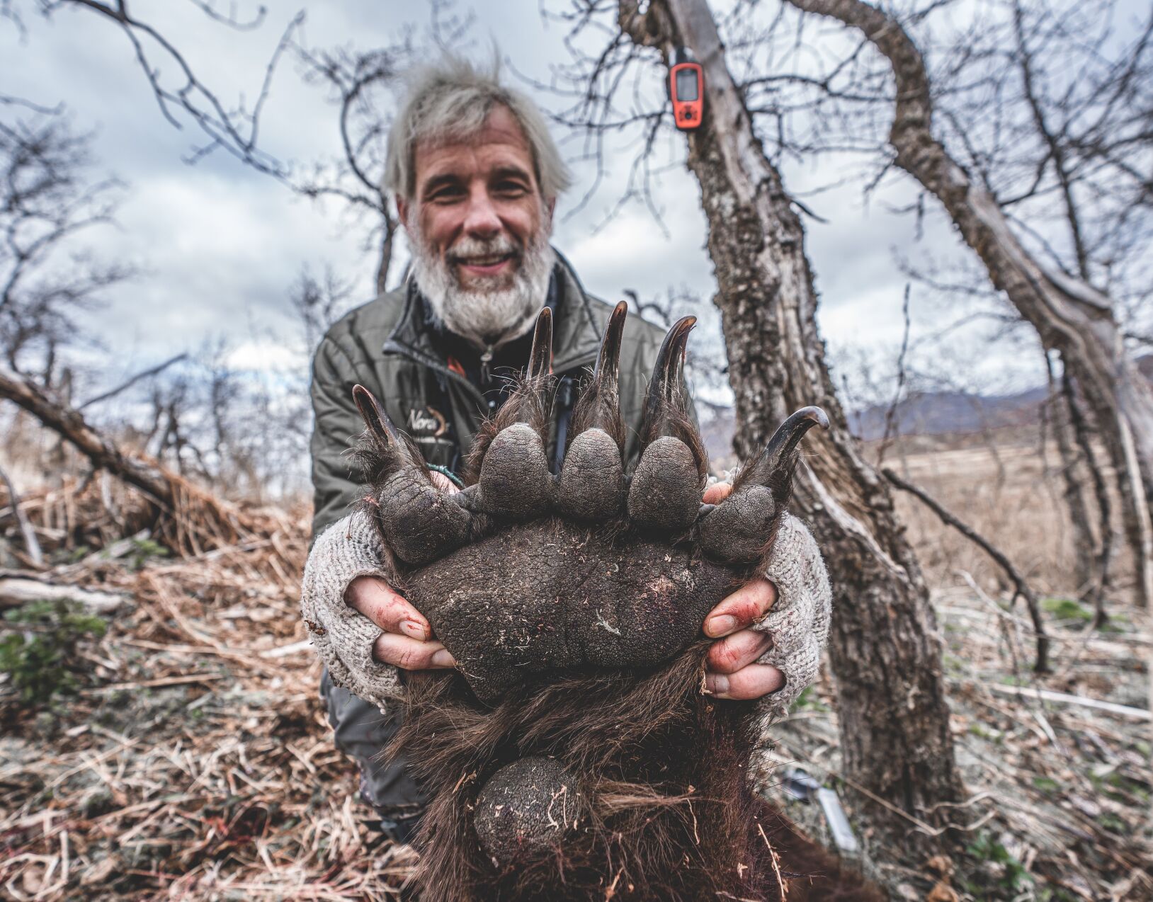 Sevierville Man'S Confrontation: Bear Attack Leaves Community Divided - jdciift